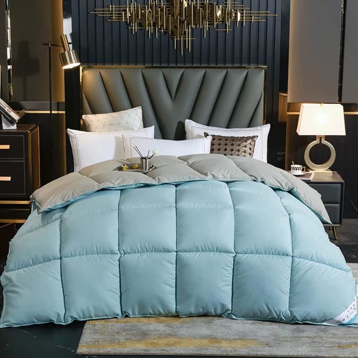 Couette Duvet d'oie Et Plumes, 95 De Duvet d'oie Blanche Haute Pureté, Housse en Coton Haute
