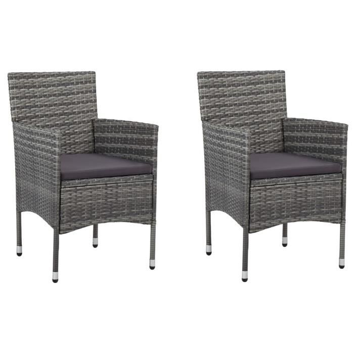 MAISON Lot de 2 Chaises de salle à manger Chaises de jardin Fauteuil de Jardin Résine tressée Gris Classique 26262