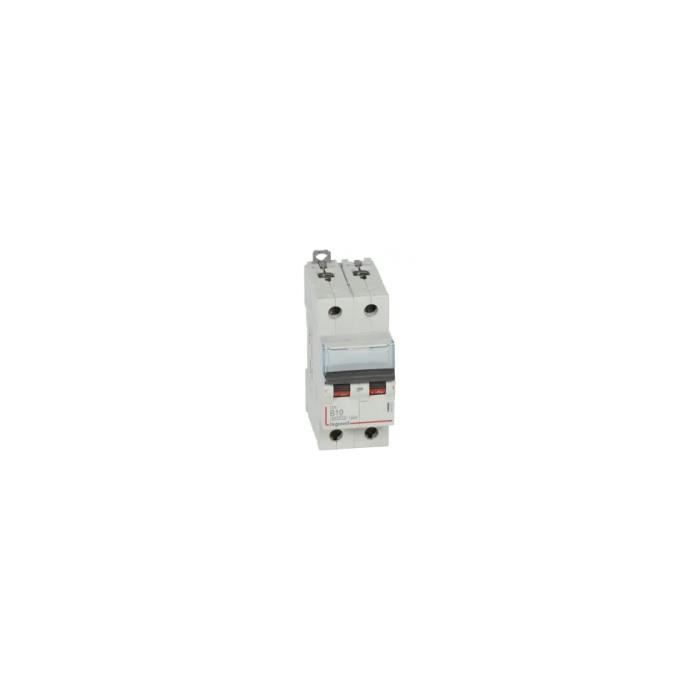Disjoncteur Legrand U10 Double 10A - Modèle 01934 - Occasion Propre