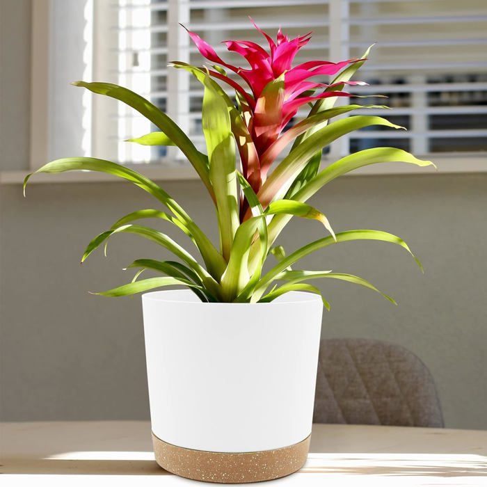 Set of 2 Plant Pots, Plant Pots with Drainage Holes and Removable Base ...