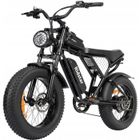 Ridstar Q20 Vélo Électrique - 1000W - Batterie Amovible 48V-15Ah - 7 Vitesse SHIMANO - Roue 20’’Gros Pneu