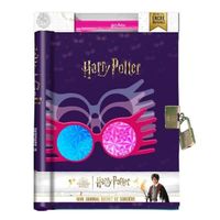 Harry Potter - Mon journal secret de sorcière (avec encre invisible)