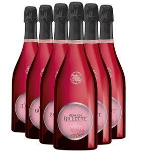 CHAMPAGNE Champagne La Richesse du Fruit Brut Nature Rosé - Lot de 6x75cl - Champagne Romain Billette - Cépage Pinot Meunier