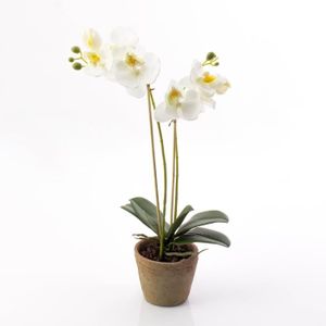 Lot de 3 Pot Plante Mural, KinkGlass Succulent Planter Vase Fleur  Artificielle pour Décoration Murale (Noir) : : Jardin