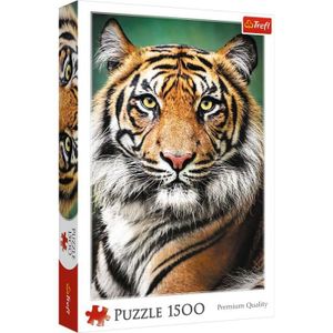PUZZLE Puzzle - TREFL - Portrait of a Tiger - 1500 pièces