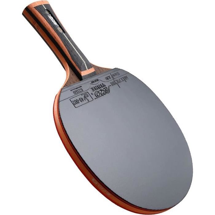 SGAIYUNRT Raquette de Ping Pong avec Protection de Bord e ande de Bois, Bois à 5 Couches et en Carbone à 2 Couches475