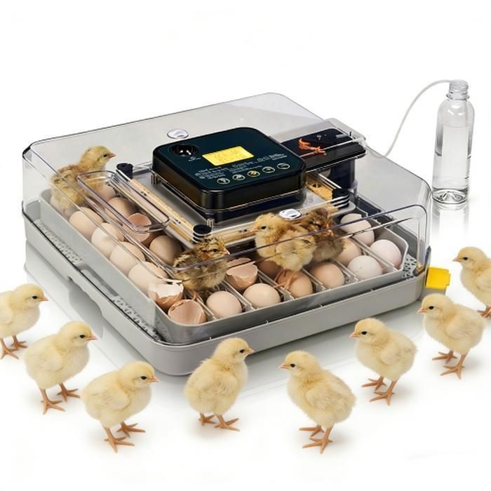 Comparer les prix de Couveuse Oeuf Automatique 48 Oeufs - Retournement Auto Contrôle Température & Affichage Humidité - Grand Volume pour  Maison/Ferme