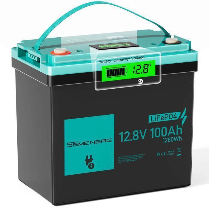 Batterie Lithium 12V 100Ah15000+ Cycles100A BMSLiFePO4protetion de froid pour la