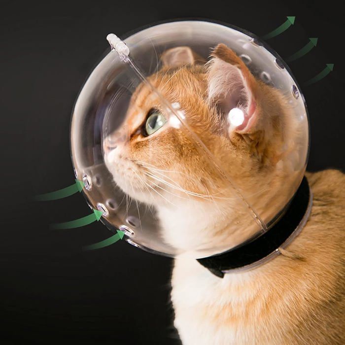 Muselière pour chat - Avec capuche respirante - Casque dastronaute ajustable pour chatons - Empêche votre animal de mâcher et de