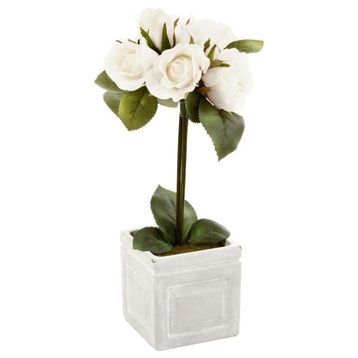 Composition De Roses Pot Carré H 33 Cm Vert Achat