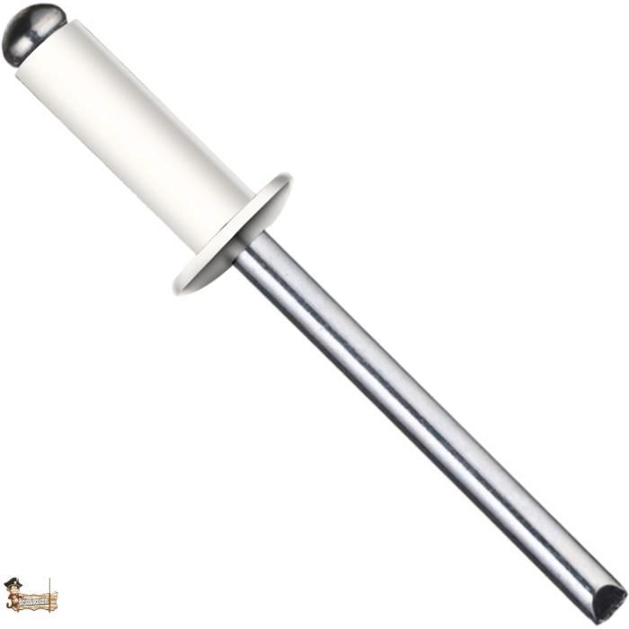 Bricoloco Rivet Blanc Tubulaire Standard Pop Din 7337. Aveugle. Tête ...