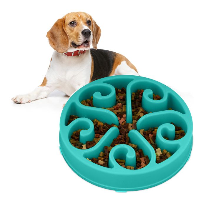 Comparer les prix de Relaxdays Gamelle anti-glouton repas chiens diamètre 30 cm digestion lente compatible avec lave-vaisselle turquoise