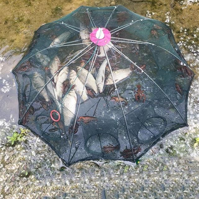 Filet De Pêche Pliable En Nylon – Cage à Poissons, Crabes, Crevettes Et écrevisses, Cadre Acier Robuste