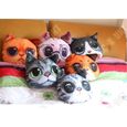 TD® Drôle 3D Cat Imprimer Coussin Coussin créatif mignon poupée en peluche cadeau Home  Tapis de chat souple   Couleur: chaton gris-2