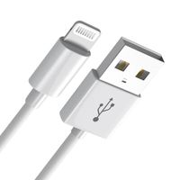 Câble de Charge, Chargeur - Magnet - 1M Lightning vers USB Classique, Charge Optimale  - Pour Apple Iphone, Airpods, iPad