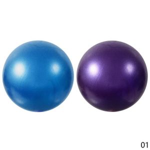 BALLON SUISSE-GYM BALL Ballon de gymnastique,Balle Pilates 20cm, 2 pièces