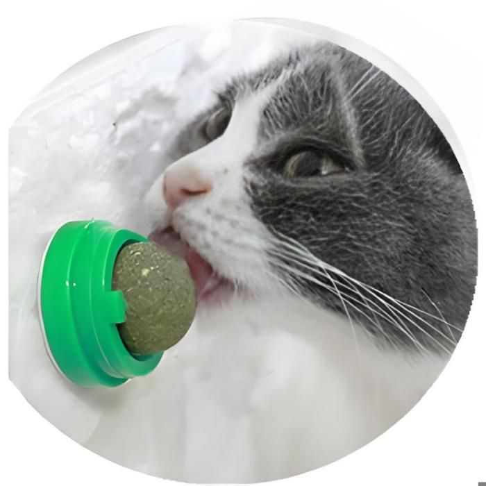 Meilleurs prix pour Lot de 4 boules dherbe à chat jouets interactifs rotatifs pour chat