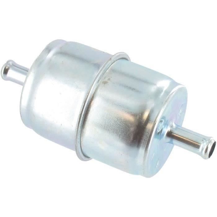 Filtre à essence BRIGGS et STRATTON 492836 (10 microns)