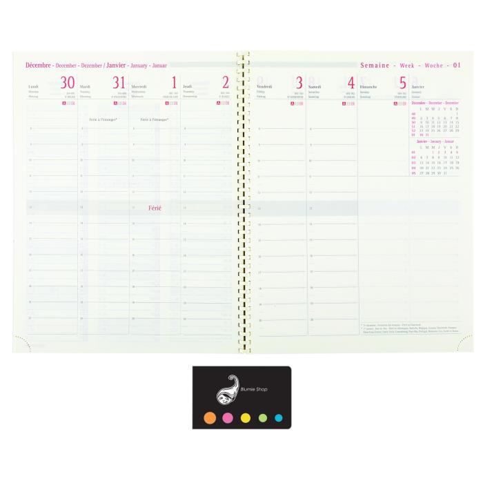 Recharge Oberthur 2026 Semainier Vertical 15x21 Cm + Index Adhésif Blumie - Organiseur Français