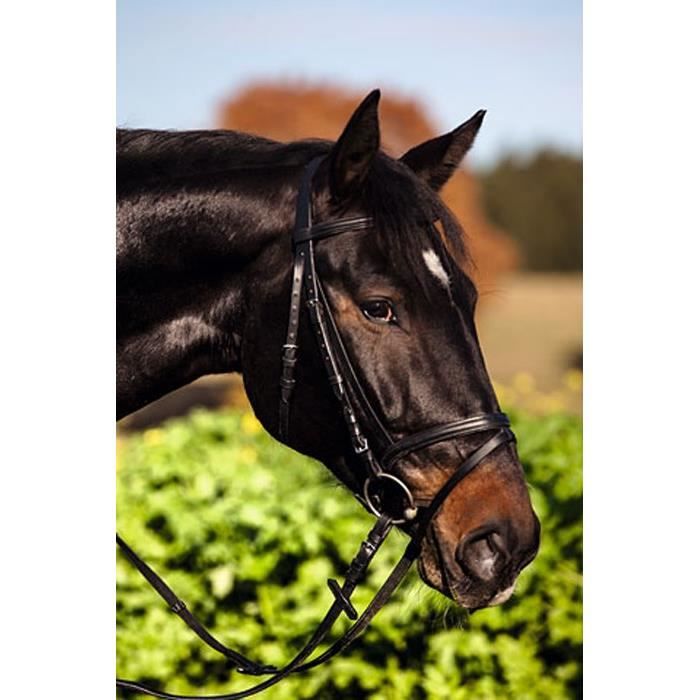 Comparer les prix de KERBL Bridon Standard - Noir - Cheval de selle