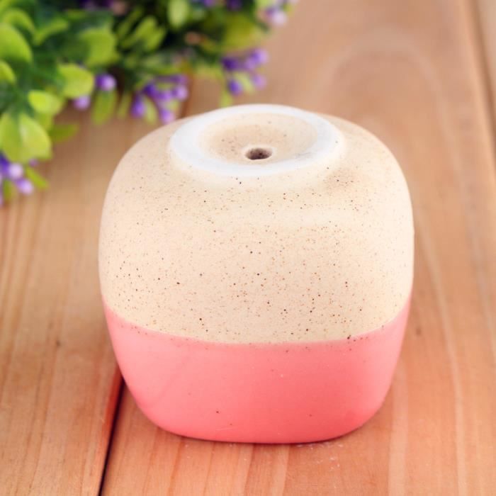 3/ mini plantes d/écoratives en pot de MyGift