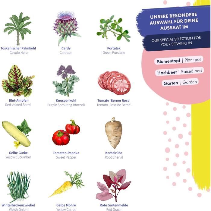 Lot De 6 Impressions Botaniques Vintage – Affiches De Paquets De Graines De Légumes (Non Encadrées)