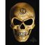 Plaque Crane Tribal Alchemy Tete De Mort Grave Tole Punk Achat