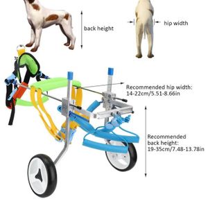 Fauteuil Roulant Xl Pour Chien Cdiscount