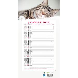 Cdiscount Calendrier 2022