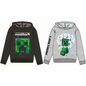 Sweat minecraft 10 new arrivals ans