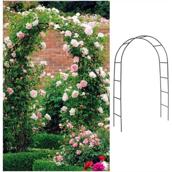 Obélisque De Jardin Métal 32x210 Cm – Support Pour Plantes Grimpantes (Rosiers, Clématites, Tomates…) – Décoratif Et Stable – Noir - 11