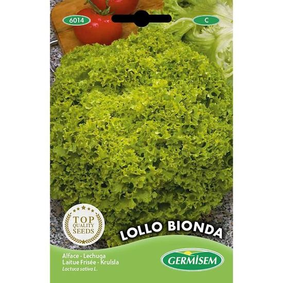 Germisem Bio-Brokkoli 'Calabresa' Samen – Ca. 1200 Korn Für Vitaminreiches Gemüse Aus Eigenem Garten