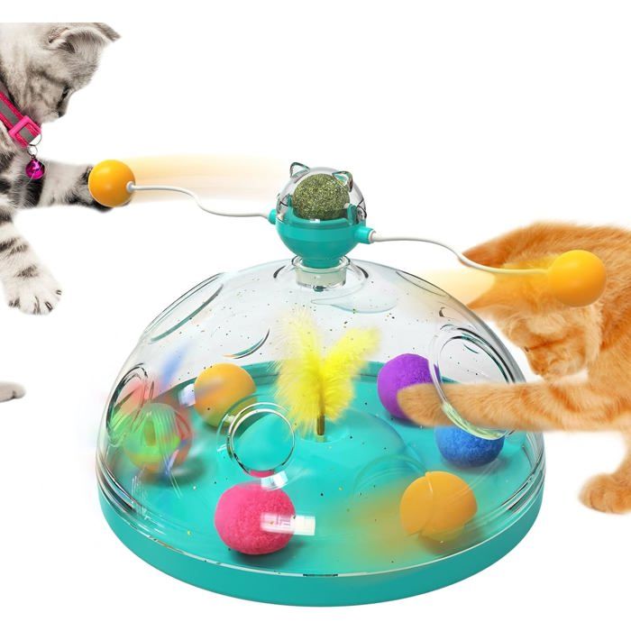 Coffre au trésor pour chat jouet interactif pour chats dintérieur