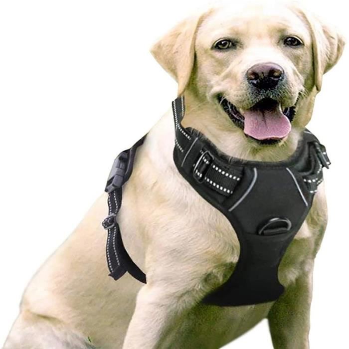 Meilleurs prix pour Harnais Chien/Gilet pour chien- Noir taille XL -- Anti Traction Réglable Réfléchissant Matériau Respirant