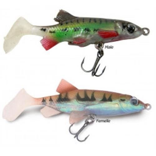 Leurres Storm WildEye Swim Shad 3'' Pearl - Lot De 3 - Pré-équipés