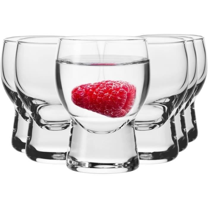 WOPPLXY Lot De 30 Verres à Shot 30ml Avec 5 Verseurs - Verres Shooter Transparents Pour Vodka Tequila
