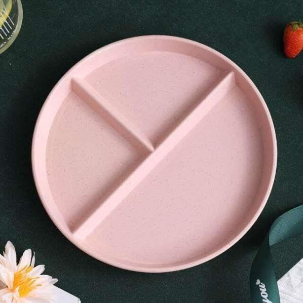 LATERN 10 Assiettes Divisees 9 Pouces - Plastique Incassable Pour Contrôle Des Portions - Idéal Repas Équilibré, Pique-nique & Famille (5 Couleurs)