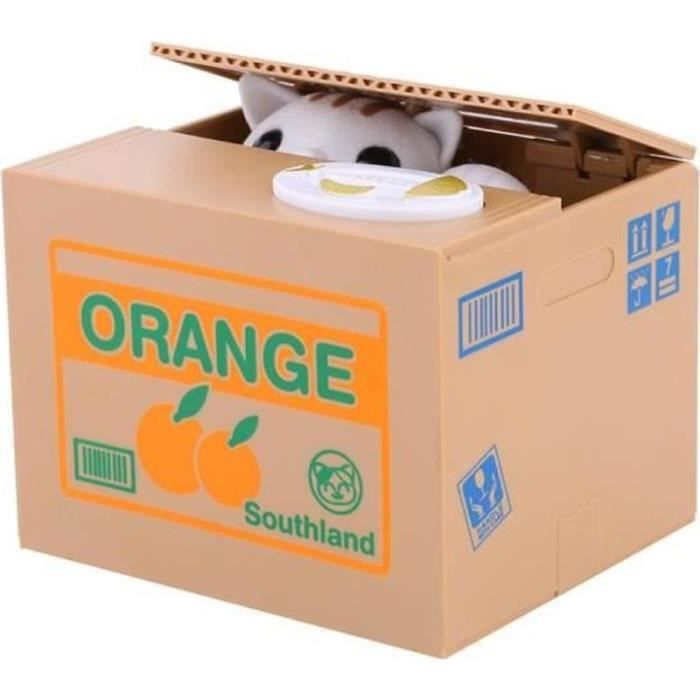 chat voleur tirelire