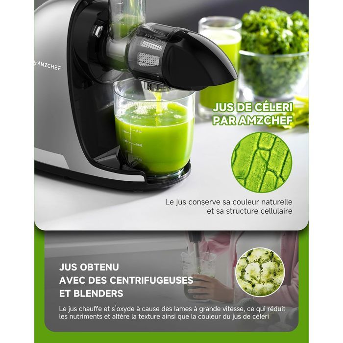 AMZCHEF 200W Extracteur De Jus Pression à Froid - Extracteur De