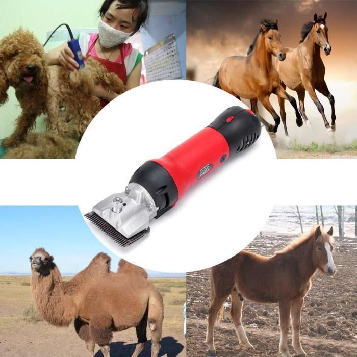 Tondeuse à Chevaux Professionnelle 320-350W - Électrique, Vitesse Adjustable - Rouge Et Noir