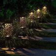 Lampe Solaire de Jardin LED - Étanche - 4 Ampoules - Acier Inoxydable - Détecteur de Mouvement-3