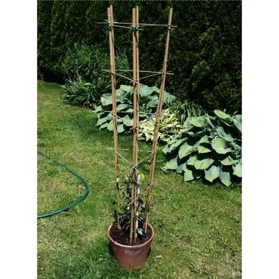 Lot De 5 Échelles En Bambou Pour Fleurs - Support Plantes Jardin Treillis Grimpantes H 45 Cm Triple