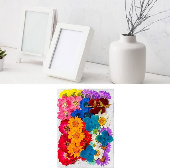 kjfeif Kit d'Art Floral Pétale Magique, Kit d'Artisanat Bouquet de Fleurs, Kits d'Art Amusants et Faciles, Activités de Jardin DIY pour Enfants, Kits d'Art pour Filles et Garçons kjfeif Kit d'Art Floral Pétale Magique, Kit d'Artisanat Bouquet de Fleurs, Kits d'Art Amusants et Faciles, Activités de Jardin DIY pour Enfants, Kits d'Art pour Filles et Garçons
