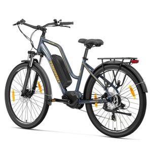 Le Fat Bike électrique pliant Fidoo M1 PRO à 1047€ Stock EU