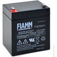 Batterie plomb AGM FG20451 12V 4.5Ah  - Batterie(s)-0