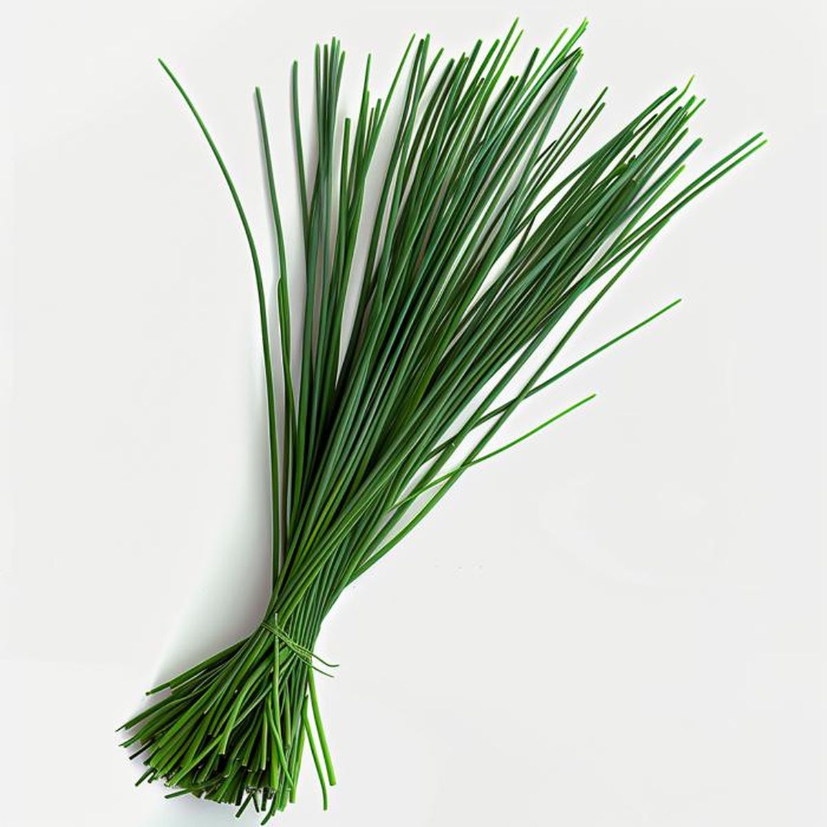 Graines De Moutarde Blanche - Sachet De 500 Graines Reproductibles BIO - Pour Potager, Aromatique, Permaculture - Non Hybrides, Sans Traitement Chimique - 8