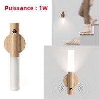 Birnetek Lot De 2 Appliques Murales Rechargeables USB Avec Détecteur Mouvement - Lampe Escalier Bois