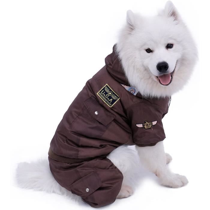 manteau chien neige