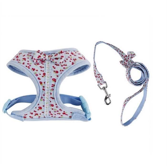 Motif floral minuscule petit chien ceinture pectorale Harnais avec Laisse plomb - Taille XS (Bleu) Ma07979