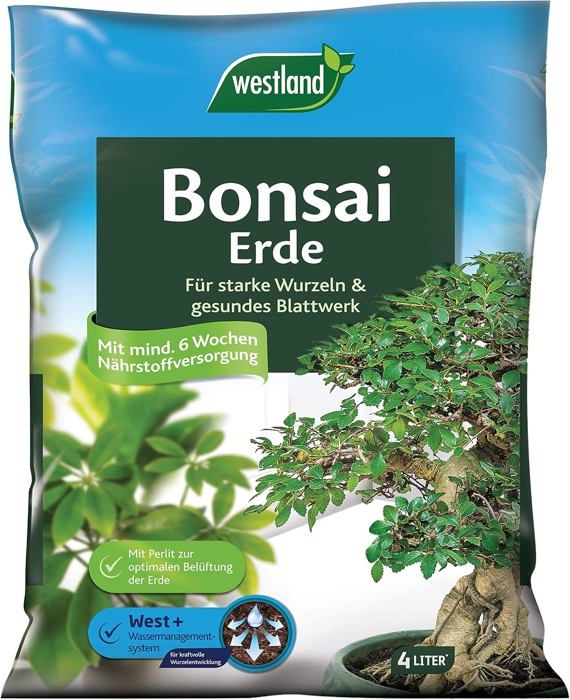 Terreau Spécial Ficus 4L Garten Lux - Sans Tourbe, 6 En 1, Anti-sciarides - Pour Ficus Benjamina, Elastica, Lyrata…